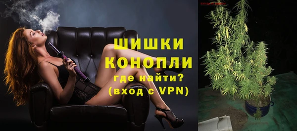 spice Осташков