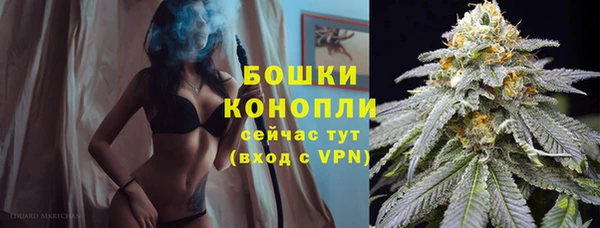 spice Осташков