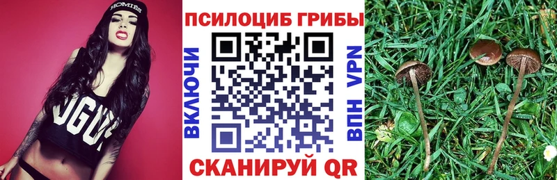 Галлюциногенные грибы Magic Shrooms  наркошоп  Рославль 