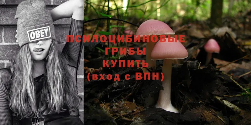 Галлюциногенные грибы Psilocybe  закладка  MEGA ссылки  Рославль 