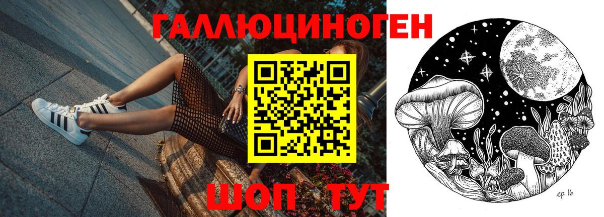 Псилоцибиновые грибы прущие грибы  Псилоцибиновые грибы GOLDEN TEACHER  купить закладку  Рославль  Вход с VPN 