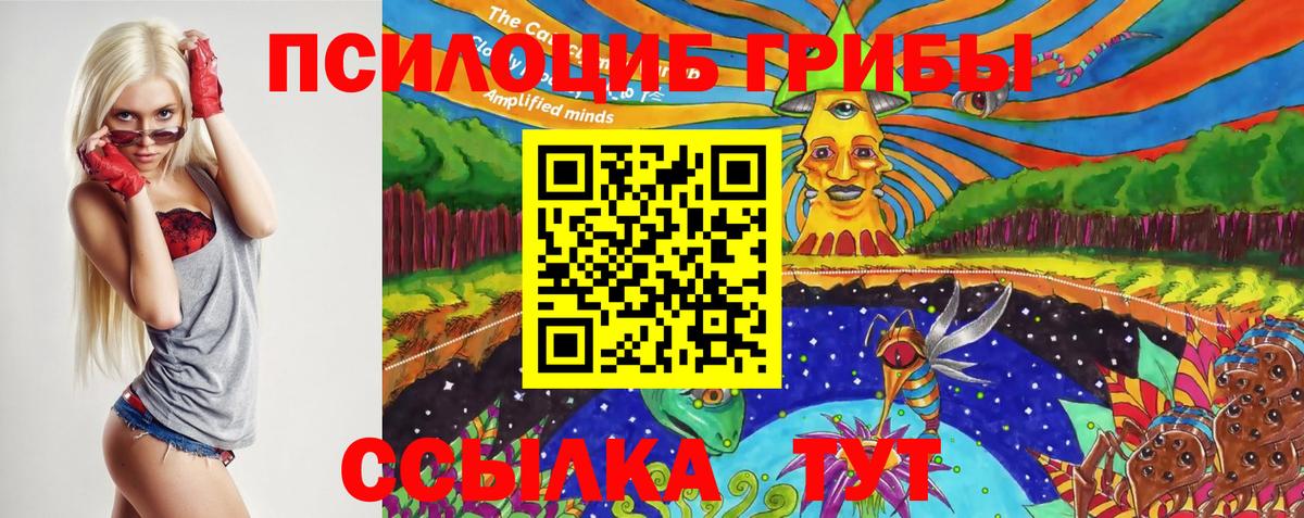 Галлюциногенные грибы Cubensis Рославль